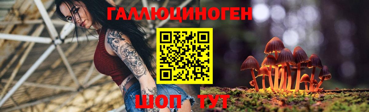 Грязи  Галлюциногенные грибы Psilocybine cubensis  Вход с VPN 