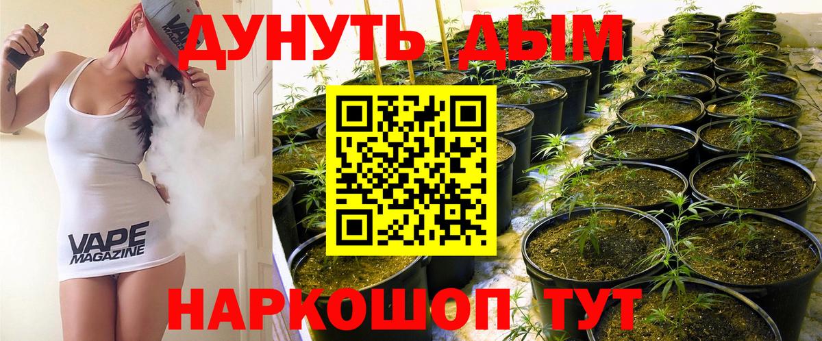 Грязи  Канабис планчик  Бошки Шишки Ganja  Вход с VPN  Шишки марихуана план  Канабис Bruce Banner 